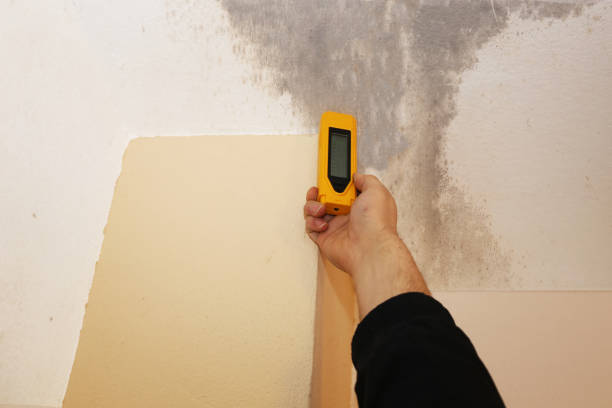 Mold Remediation for Rental Properties in Center Point, IA